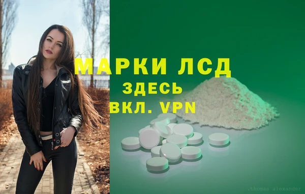 тгк Зеленодольск