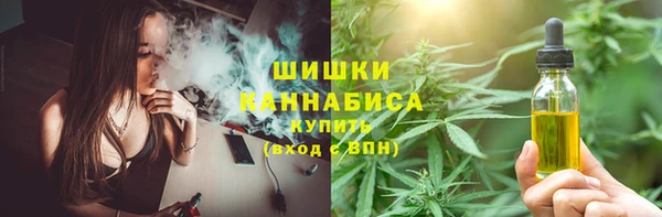 дмт Инсар