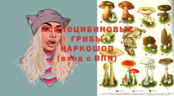 тгк Зеленодольск