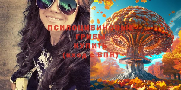 МДПВ Зерноград