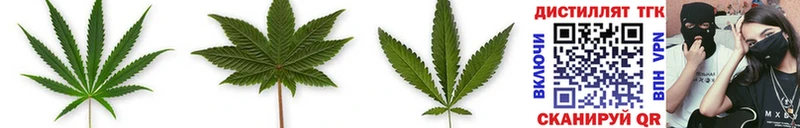 Купить Нахабино ТГК THC oil