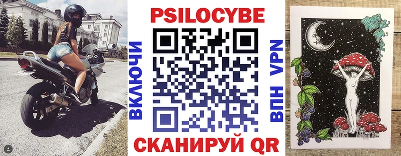 Купить закладки  Нахабино  Псилоцибиновые грибы Magic Shrooms 